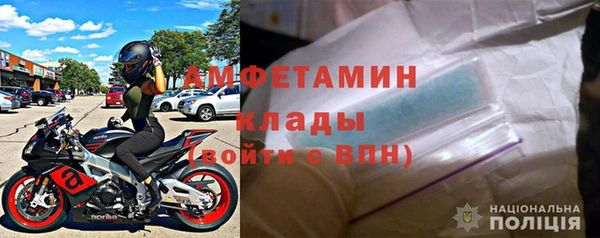 трава Аркадак