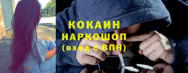 твердый Арсеньев