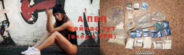 твердый Арсеньев
